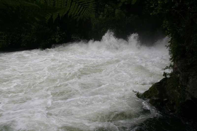 Nieuw-Zeeland 2011 - 0574
